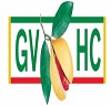 GVHC